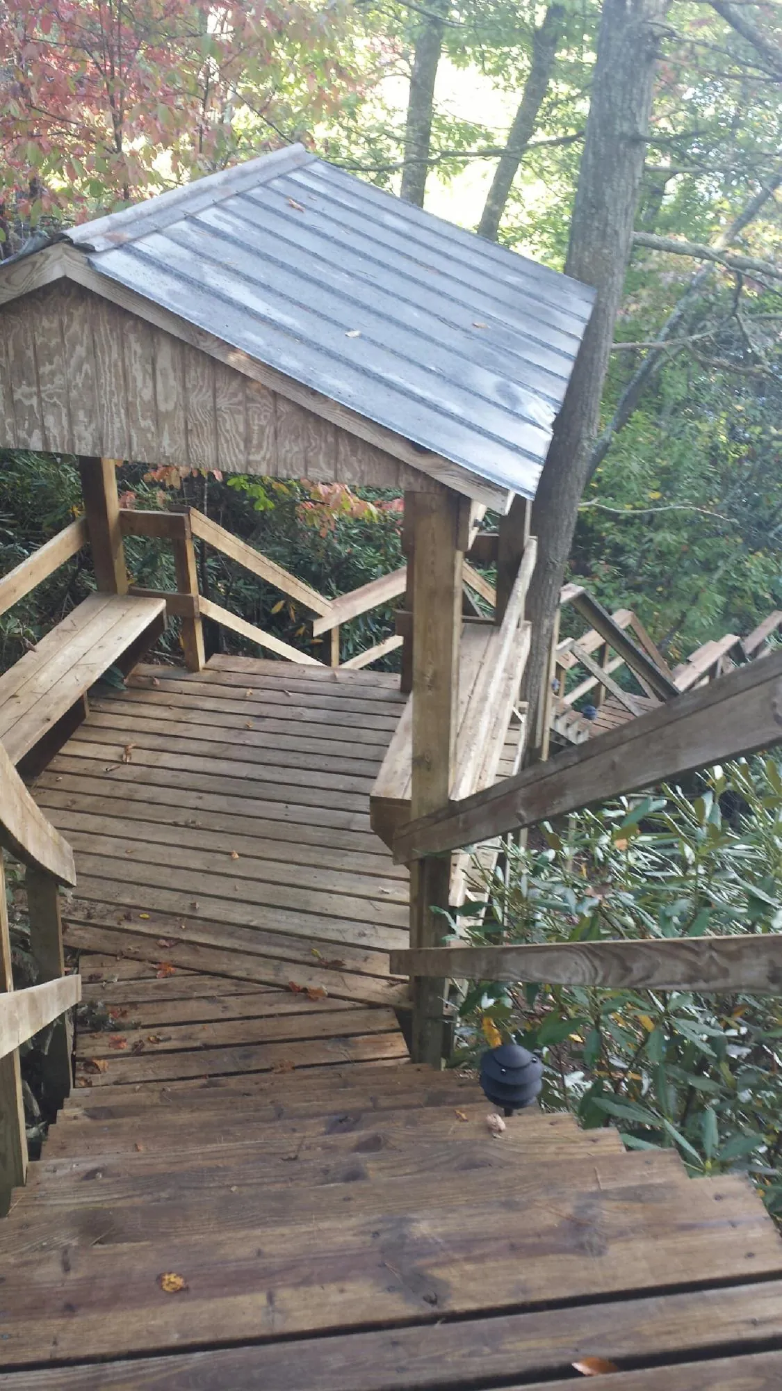 Metal roofed shelter over wooden steps on a wooded walkway — Skylight Repair & Installation work by our crew in Renville